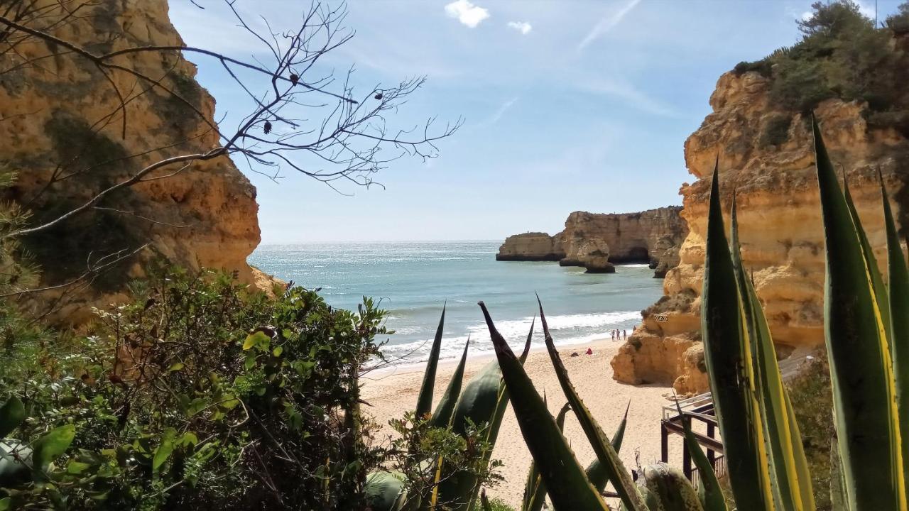 Appartement Traditional In Albufeira