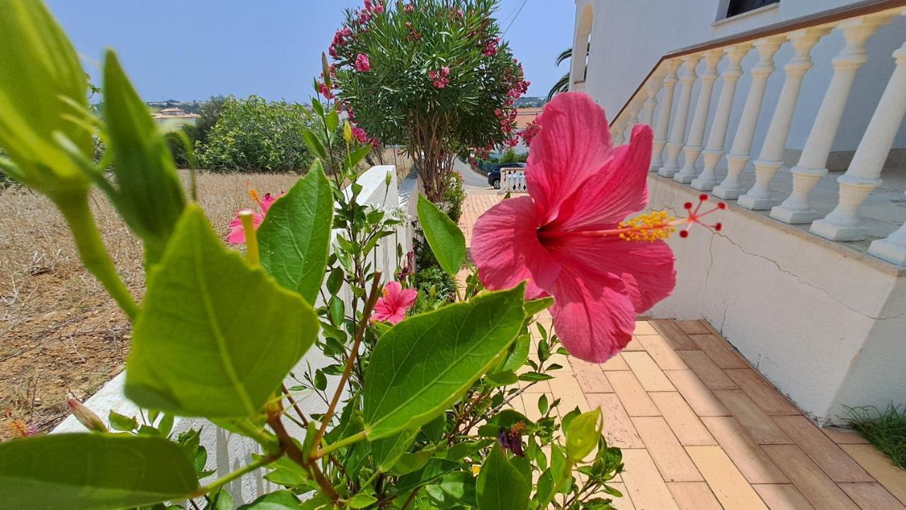 Appartement Traditional In Albufeira